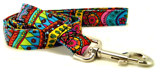 Color Me Happy Dog Leash