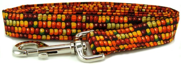 Indian corn dog leash
