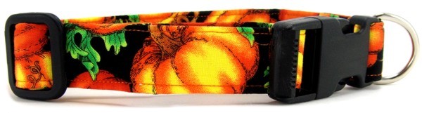 Pumpkins Dog Collar